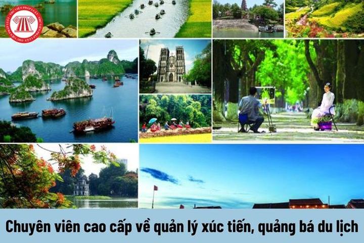 HOT: Tiểu Yến Tử - Hạ Tử Vy - - Cảm hứng video marketing từ Hotspot Matrix