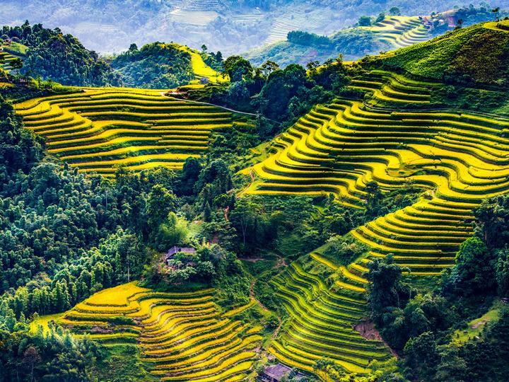 Xu hướng Nhà văn nói: 1 người nóng nảy: Hotspot Matrix tiết lộ bí quyết video viral