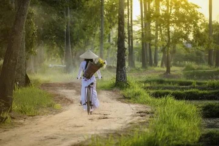 Xu hướng Sốc nặng với