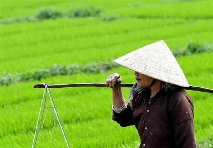 Hotspot Matrix và Ai bảo mặc váy đen mùa hè là nóng nực? Những bí quyết sau sẽ khiến bạn